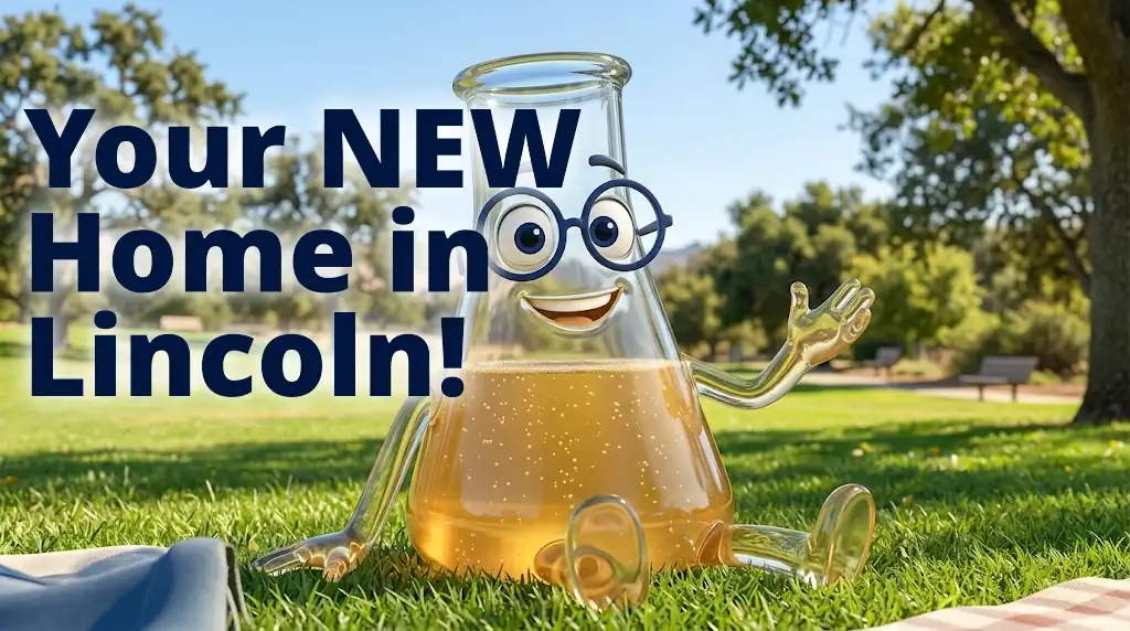 Your New Home in Lincoln California